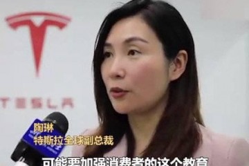 陶琳称消费者用不好车特斯拉也配教育消费者